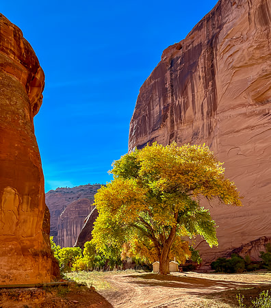 Lonely Canyon