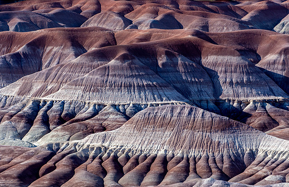Tortoured Terrain