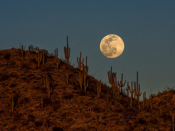 Moonrise