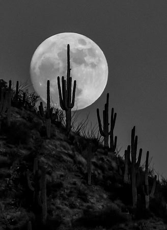 Moonrise