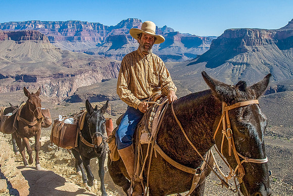 Canyon Rider