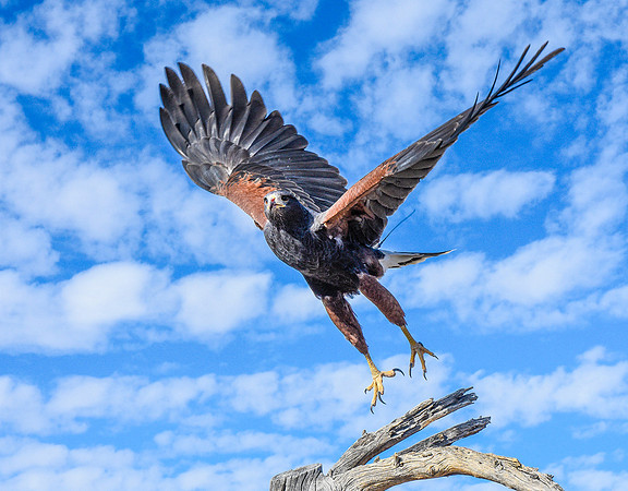 Take-off