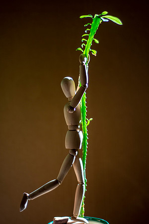 The Climber