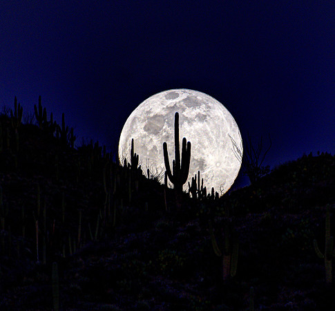 Moonrise in the Desert