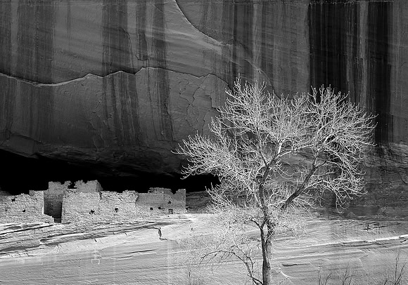 Stillness in the Canyon