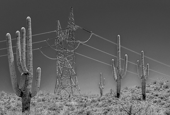 Desert Intruders